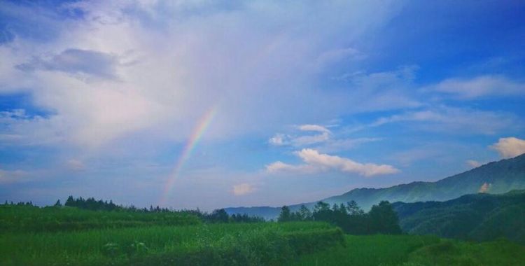 雨过天晴有什么景象,怎样描写雨过天晴的情景图6