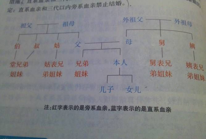 三代以内亲属包括哪些,三代直系亲属关系一览表图1