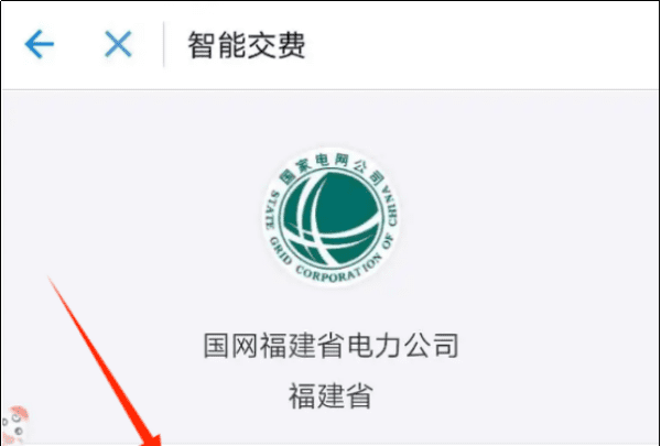 柳州电费怎么查询,电费怎么查询明细图4