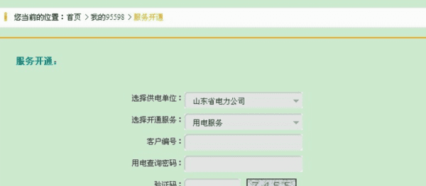 柳州电费怎么查询,电费怎么查询明细图13