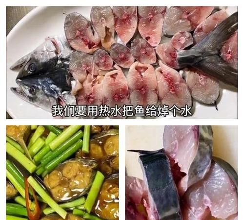 乌鸡鲅鱼啥意思,饭圈乌鸡鲅鱼是什么意思图1