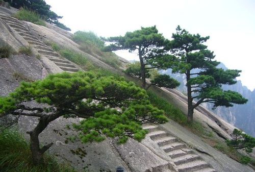 黄山属于丹霞地貌,全国究竟有多少丹霞地貌图5