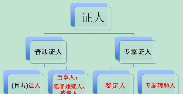 离婚诉讼证人有哪些,离婚诉讼中证人可以是亲戚图4