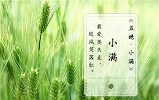 小满是什么意思,小满时节是什么意思图2