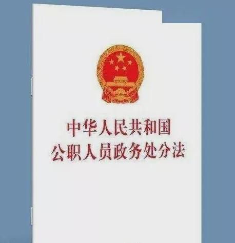 公职人员能办理外国国籍,公务员偷偷办绿卡会被知道图2