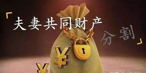 军人转业费能否视为夫妻共同财产,2月转业什么时候能拿到转业费