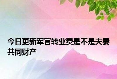 军人转业费能否视为夫妻共同财产,2月转业什么时候能拿到转业费图3