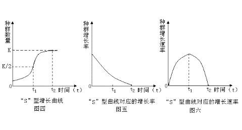 种群增长率和增长速率的区别,增长速率和增长率的区别是什么图3