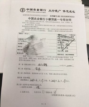 欠农行00万贷款还不上怎么办,欠银行的贷款暂时还不上怎么办能强制执行图4