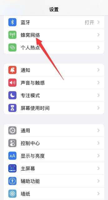 苹果手机iphone 移动数据开关在哪里,苹果移动数据开关在哪里