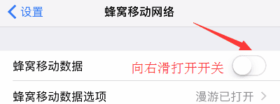 苹果手机iphone 移动数据开关在哪里,苹果移动数据开关在哪里图10