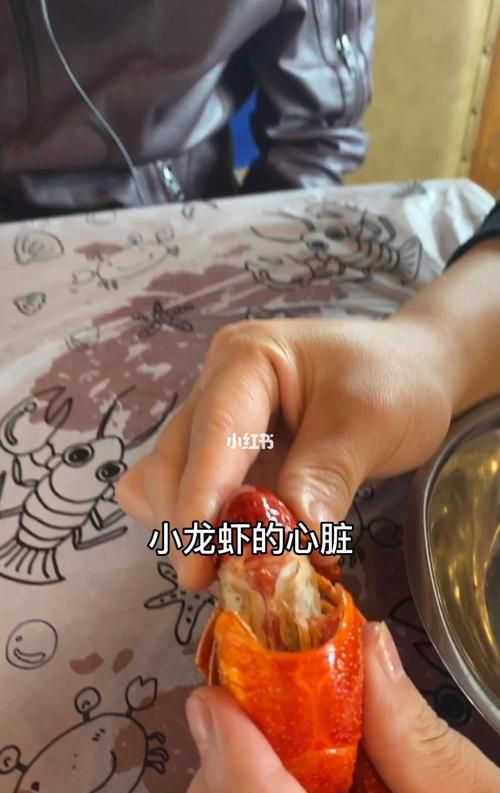 小龙虾的心脏在哪里,蚂蚁庄园今日答案月日图3