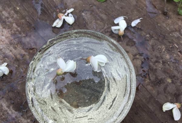 香蕉黑芝麻蜂蜜加在一起有什么用,白芝麻香蕉蜂蜜真的能排便