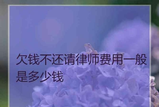 追讨公司债务律师费由谁承担,合同纠纷中哪些情形律师费由败诉方承担图2