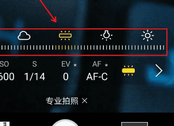 华为手机专业拍照使用方法,华为手机拍照最好的是哪款图10