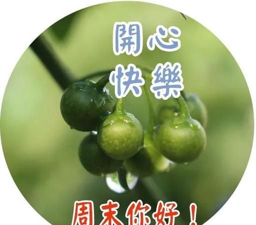 周末愉快的一句话祝福,周末愉快微信祝福句子图6