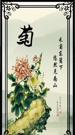 菊花的诗句 菊花的诗句推荐,十首关于菊花的诗句图10