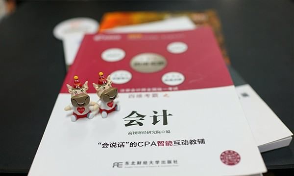 注册会计师考试现在都是机考,cpa考试是机考还是卷考图3