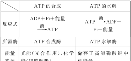 atp和adp的相互转化可逆,atp与adp的相互转化能量可逆图3