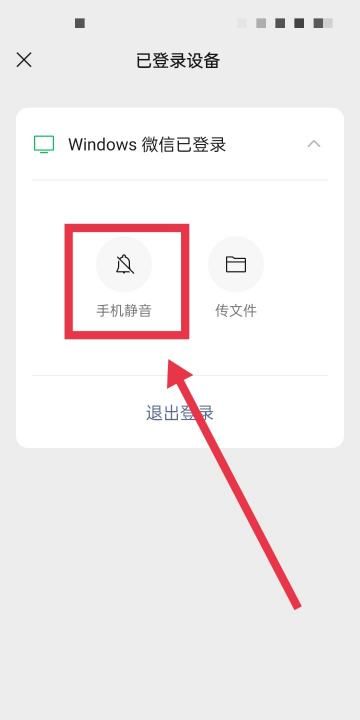 如何让微信静音,微信怎么对个人静音图11