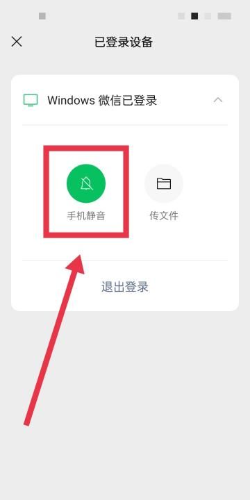 如何让微信静音,微信怎么对个人静音图13