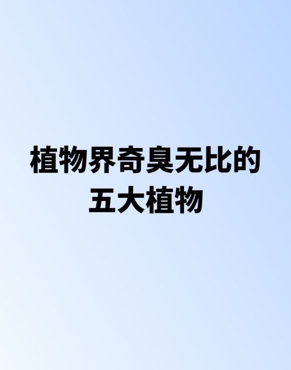 六角莲和八角莲的区别,这是什么植物图2