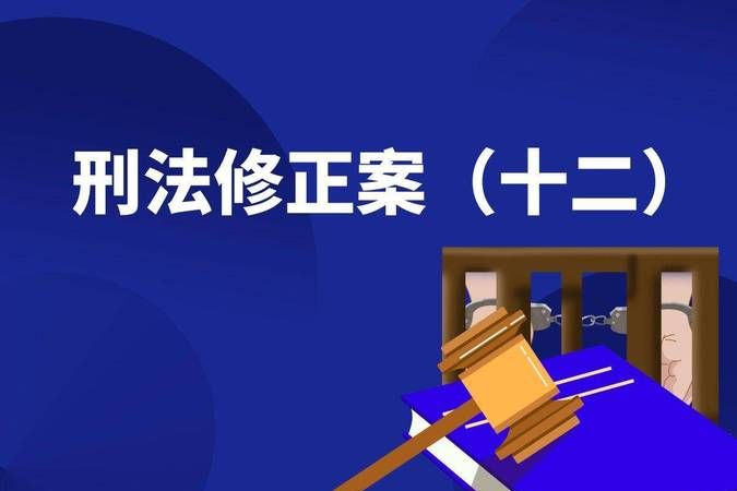 刑法双罚制犯罪是怎么规定的,单罚制与双罚制的处罚原则是什么意思图3