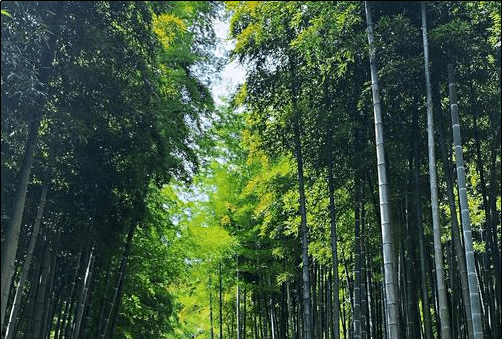 浙江有哪些旅游景点,浙江旅游必去十大景点图17