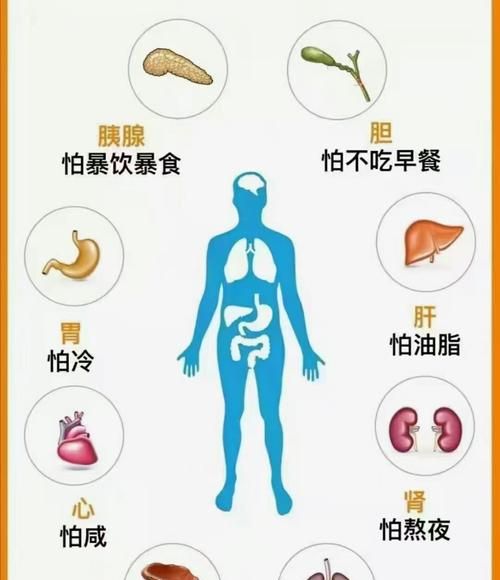 哪一个器官最怕冷,人的五官中最怕冷的是哪个器官图1