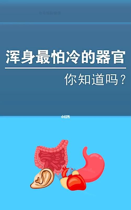 哪一个器官最怕冷,人的五官中最怕冷的是哪个器官图4