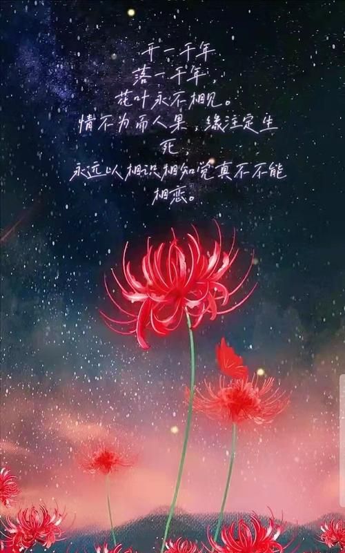 彼岸花花语 有什么寓意,彼岸花的寓意和花语图10