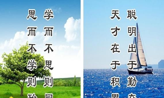 关于知识学以致用的名言,能够体现好学善学学以致用的名言是什么图4