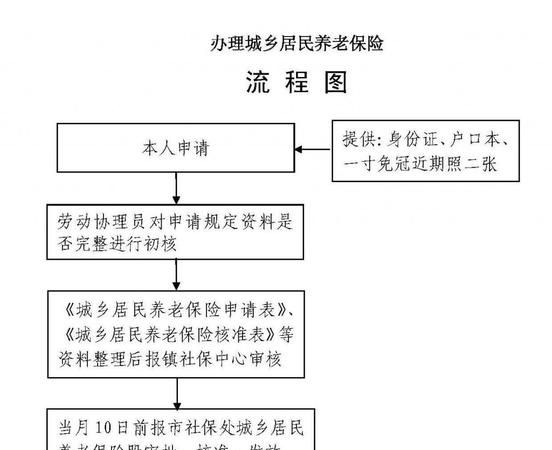 异地养老保险怎么转,异地养老保险怎么转回本地灵活就业图1