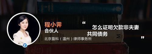 夫妻个人债务如何举证,夫妻共同债务如何举证图4