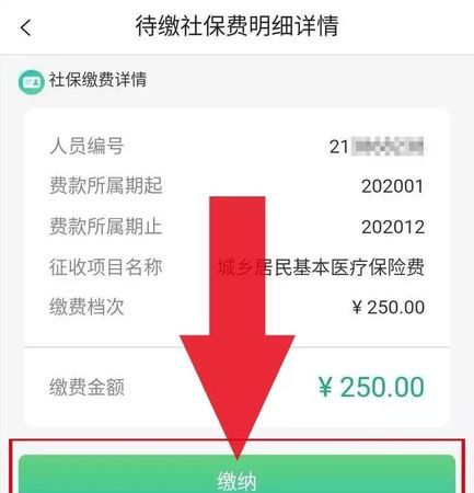 新农合怎么查询个人账户,农村合作医疗怎么查询余额图4