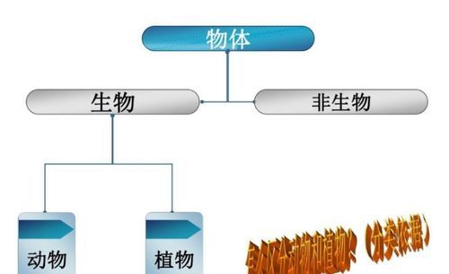 生物部分和非生物部分是什么,生态系统由生物部分和非生物部分组成对图3